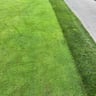 Davis landscaping profile image