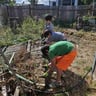 RyBoys yard care and home maintenance profile image