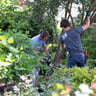 Grassroots Landscaping profile image