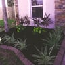 AG lawn service profile image