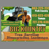Big kountry lawn and tree stumpgrinding services profile image
