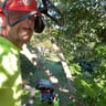 Andersen Landscaping llc profile image