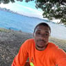 Elite Landscaping profile image