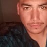 Professional Lawn Service profile image