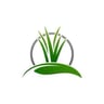 Southern lawn & care profile image