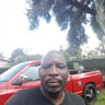 Eliis lawn and Tree service profile image