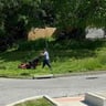 Asher Lawn Services profile image