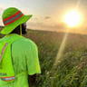 OneMan OneLand Services profile image