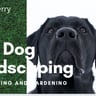 BAD DOG LANDSCAPING profile image