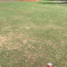 J&L Lawn Pro Services profile image