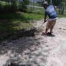 Dancal professional lawncare and cleaning profile image