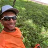 Pittman’ Lawn Services profile image
