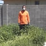 TN Lawn Services LLC. profile image