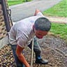 Menos lawn care profile image
