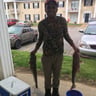 Montel landscaping & more profile image