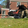 MSG Lawn care profile image