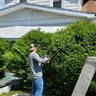 Curb Appeal Landscape Solutions profile image