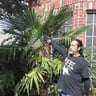 ZEMO G LAWN DESIGNS profile image