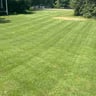 N&T Lawn Care profile image