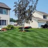 Sb Landscaping profile image