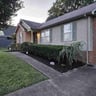 Foshie lawn care and more profile image