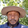 Edwards Hauling and lawn Care LLC profile image