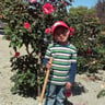 Rodriguez bravo landscape profile image