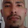 Bubby & Bruisers Landscaping profile image
