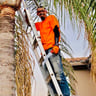 Element landscaping profile image