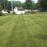 Grass Gone Wild lawn care profile image