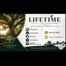 Lifetime tree and lawn profile image