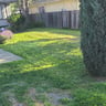 Grape city Landscaping & Maintaince profile image