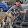 Kev’s Small Property Management profile image