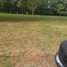 Picture perfect lawn profile image