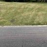 Adam's Lawn Service profile image