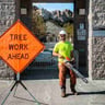 Deep Roots Tree Co. profile image