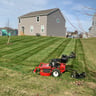 Anthony's Lawn Care LLC profile image