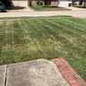Yaboy lawn an care service profile image