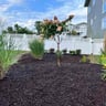 Down to the Roots, LLC profile image