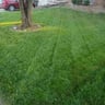 Dixon Mowing profile image