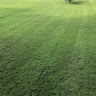 Sin’s landscapers profile image