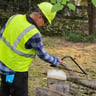 Abels Lawncare profile image