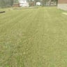 Lawn Hookup profile image