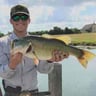 Texas lawn co profile image