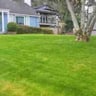 Calkins property management profile image