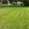 Ds Lawncare profile image