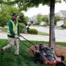 Demiya Landscaping LLC profile image