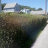 Prime time lawn service LLC profile image