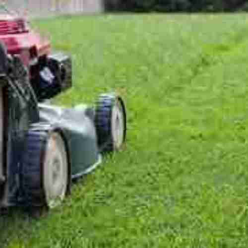 Lawn care profile image