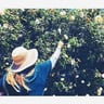 Busy Bee Co WI profile image